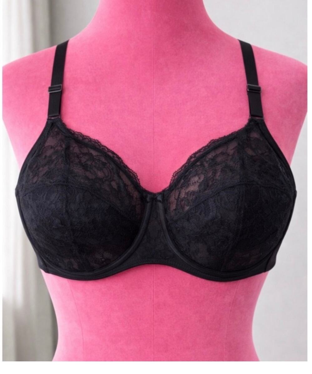 HSIA Full Coverage Lace Bra Black Underwire Support Adjustable New 44DDD